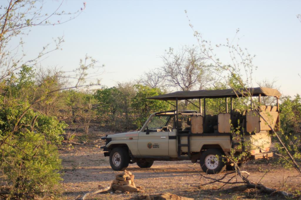 Hotel Mtomeni Safari Camp Phalaborwa Exterior foto
